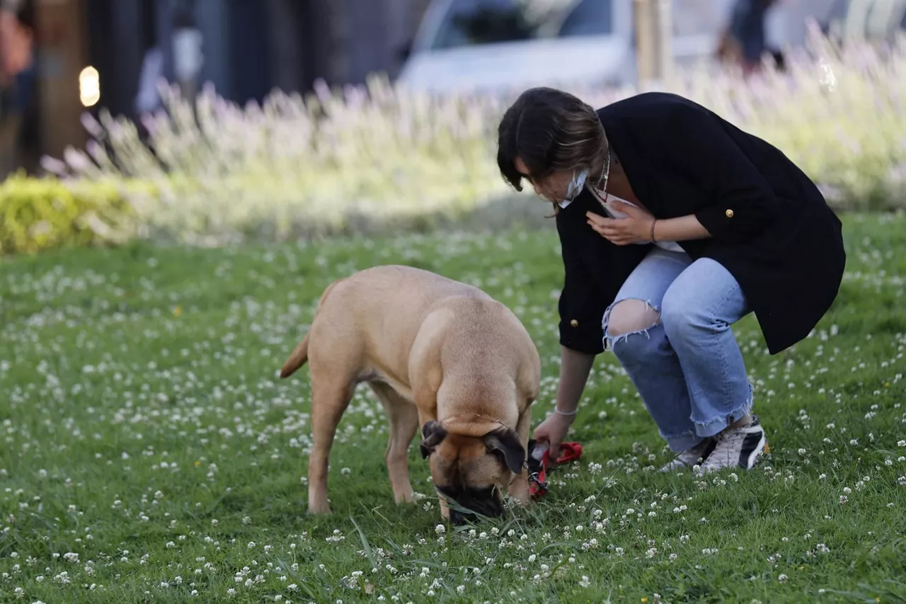 mascarilla-bilbao-perro-paseo-parque-coronavirus-efe