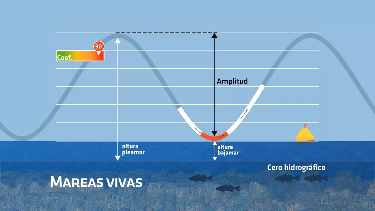 20210805133031_mareas-vivas-remo_