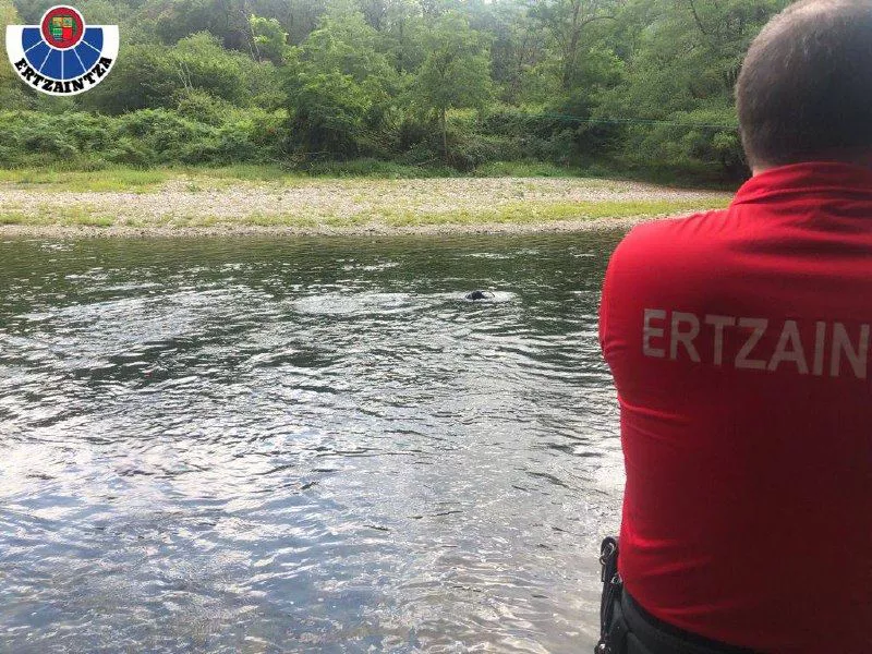 Efectivos de búsqueda y rescate en el río Bidasoa, en Irun, en agosto de 2021. EiTB Media.