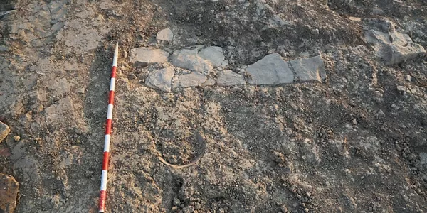 Tafallan aurkitutako aztarna arkeologikoak. Iturria: Nafarroako Gobernua