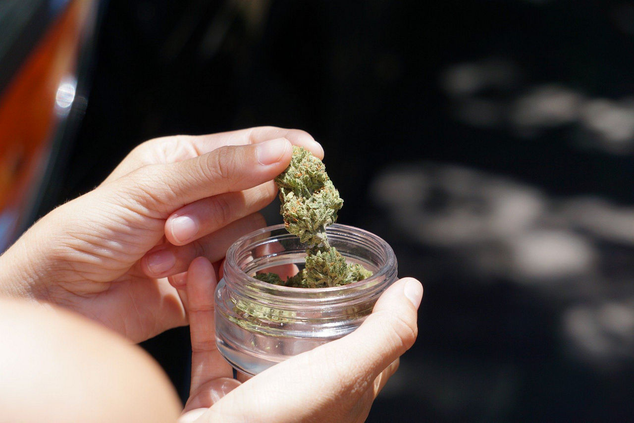 Cannabis en un bote