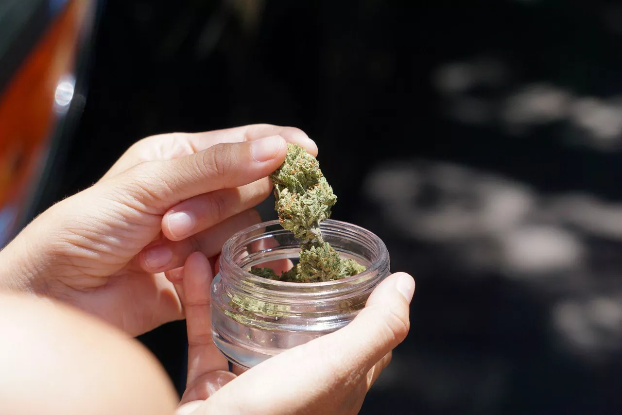 Cannabis en un bote