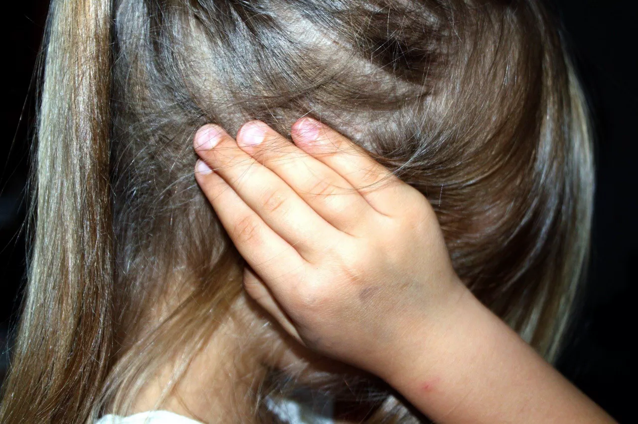 UMEA INDARKERIA MATXISTA VIOLENCIA MACHISTA MALTRATO INFANCIA PIXABAY