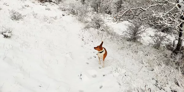 Aralar. Eneko Razkin