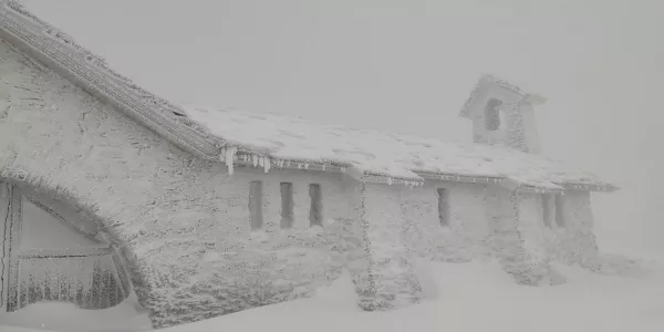 San Donato. Josu Unzurrunzaga