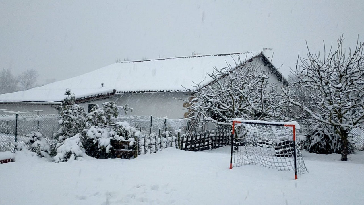Llega la nieve