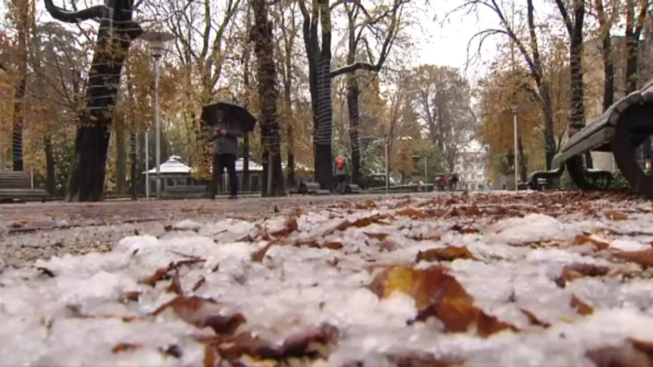 Vitoria-Gasteiz, nevada, el pasado noviembre.
