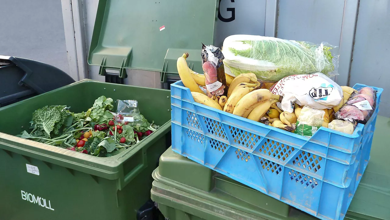 Comida en buen estado tirada a la basura. Foto: Foerster (WikiCommmons)