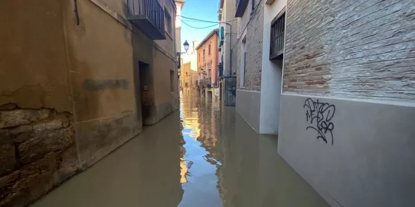 Tutera. Patxi Irigoyen | EITB Media