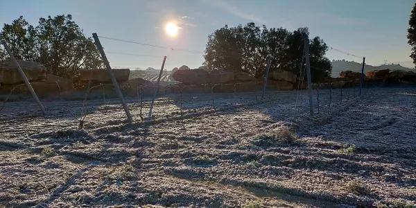 Rioja Alavesa. Imagen: Iratxe Diaz de Guereñu