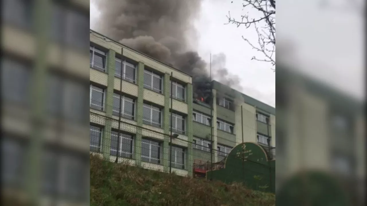 Sutea Irungo Pio Baroja institutuan.