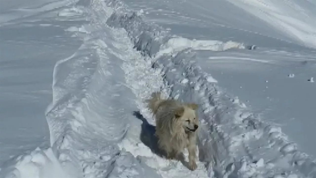 20220208164524_alex-txikon-6-feb_