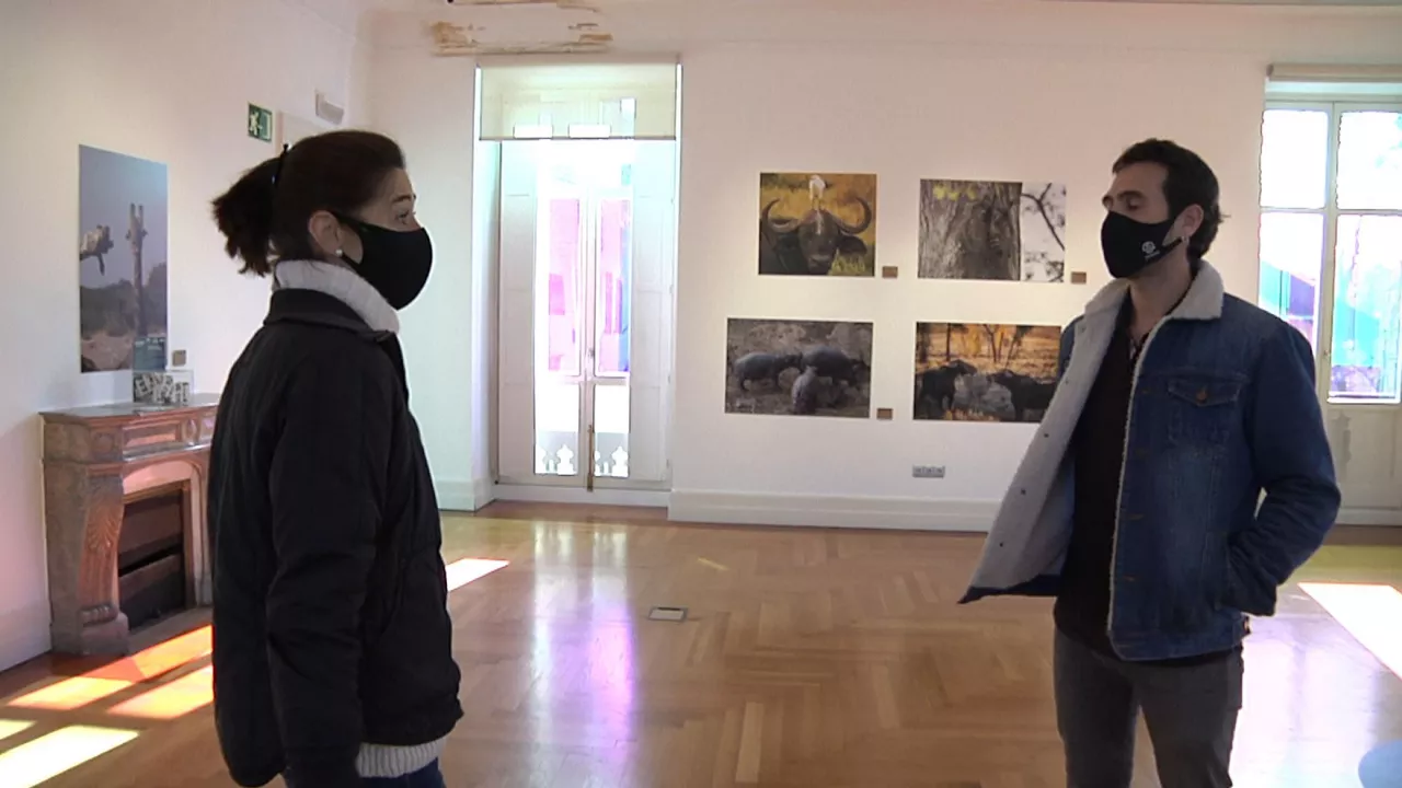 Las fotos más humanas de animales, en Cristina Enea, hasta el 13 de marzo