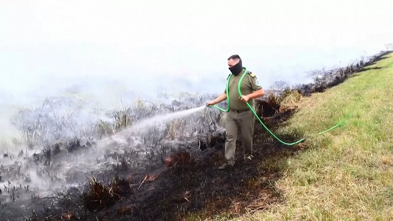 Incendio en Argentina. Imagen obtenida de un vídeo de EITB Media.