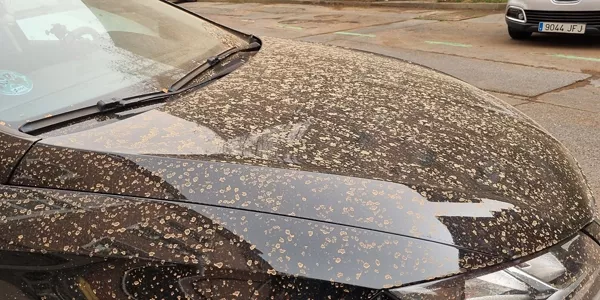 Hautsa auto batean. Argakiza: Orhi Aranzasti