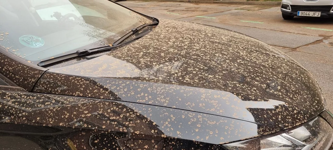 Polvo acumulado en un coche. Foto: Orhi Aranzasti