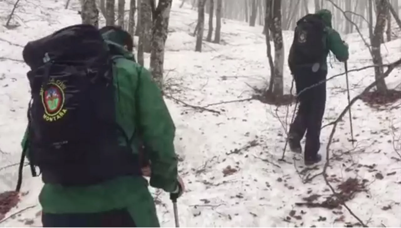 Guardia Civil de Montaña, en las labores de búsqueda.