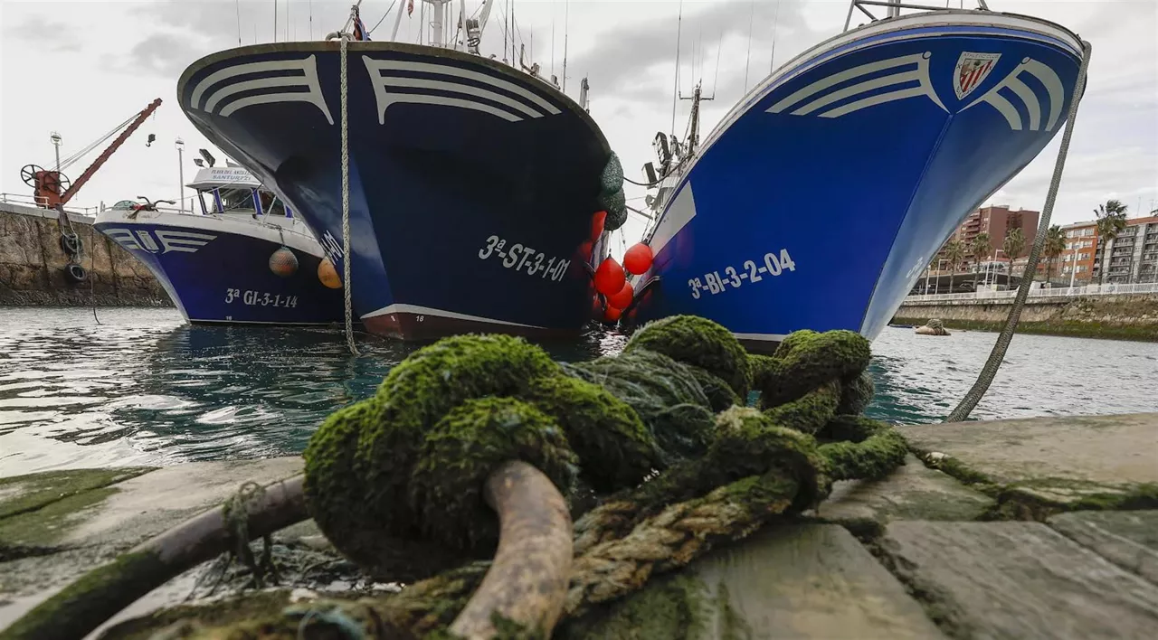 Barcos en puerto