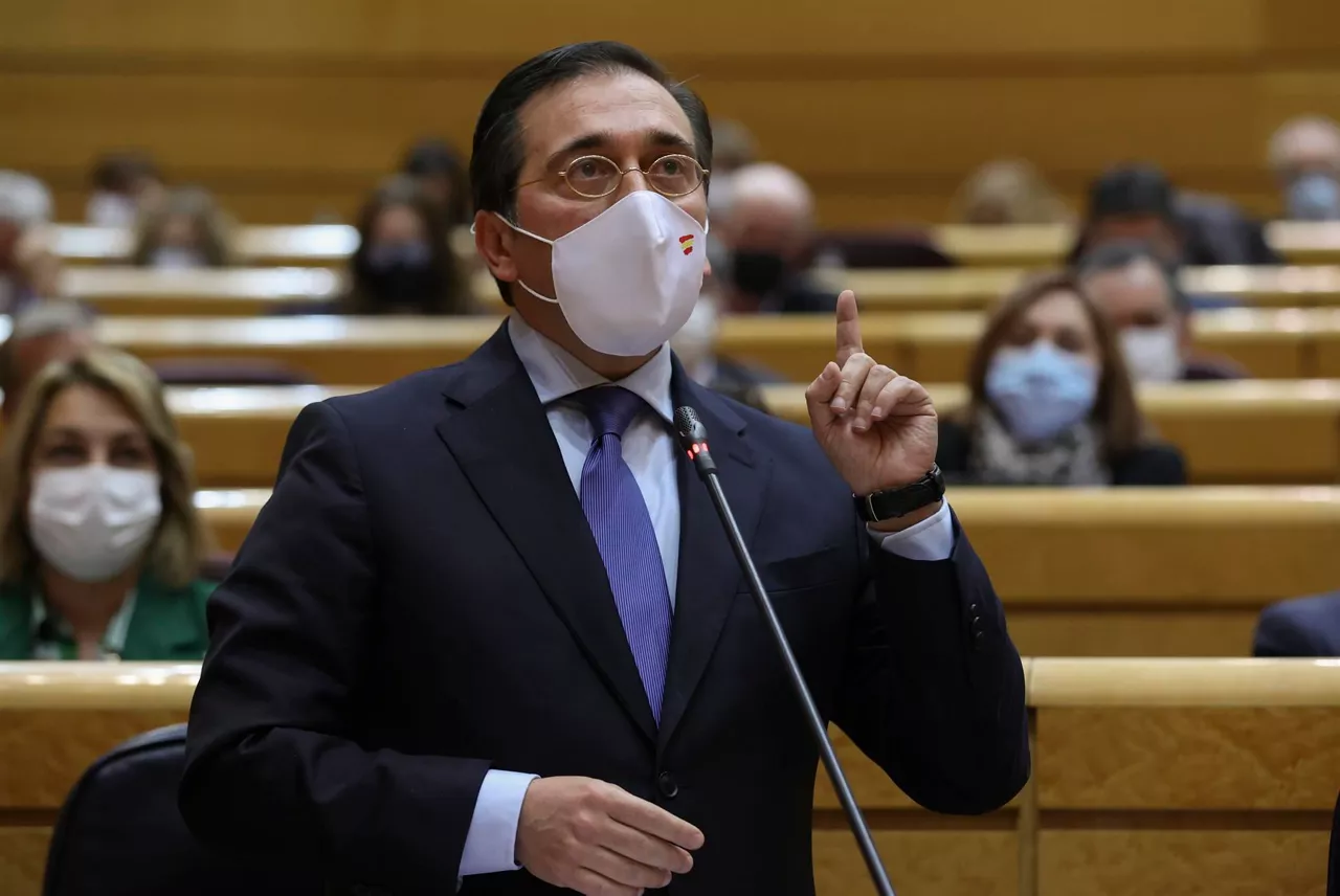 El ministro de Asuntos Exteriores, José Manuel Albares, en el Senado. Foto: EFE