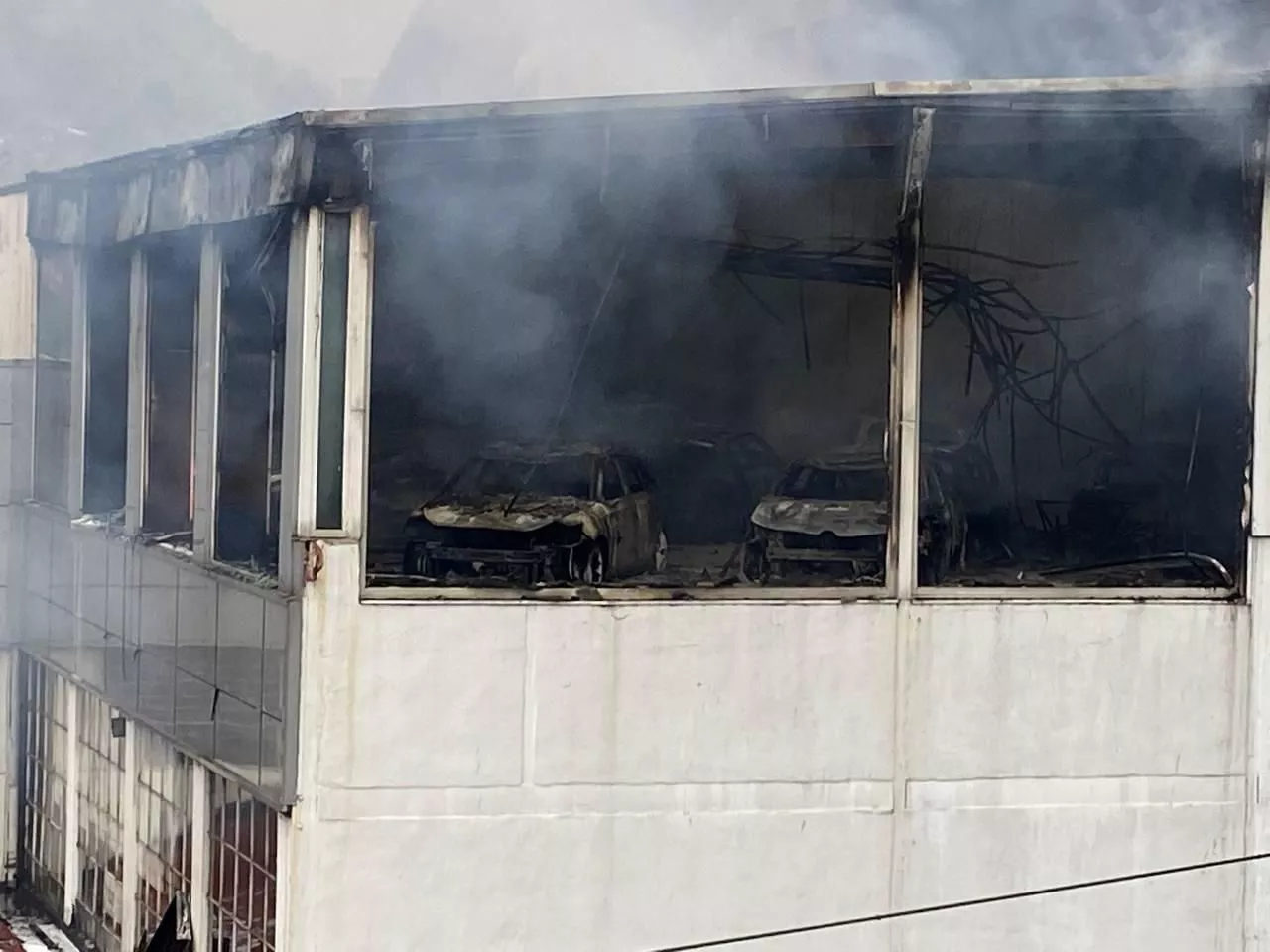 Argazkia: Ertzaintza