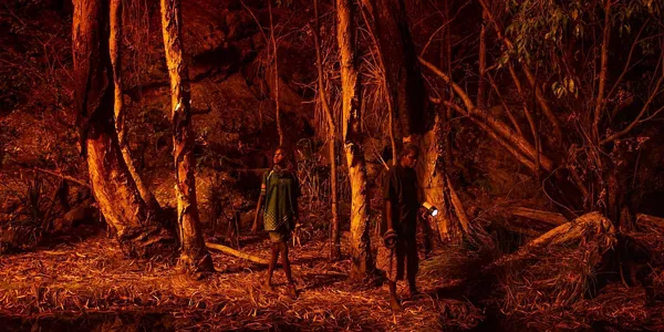  Matthew Abbotten "Saving Forests with Fire"