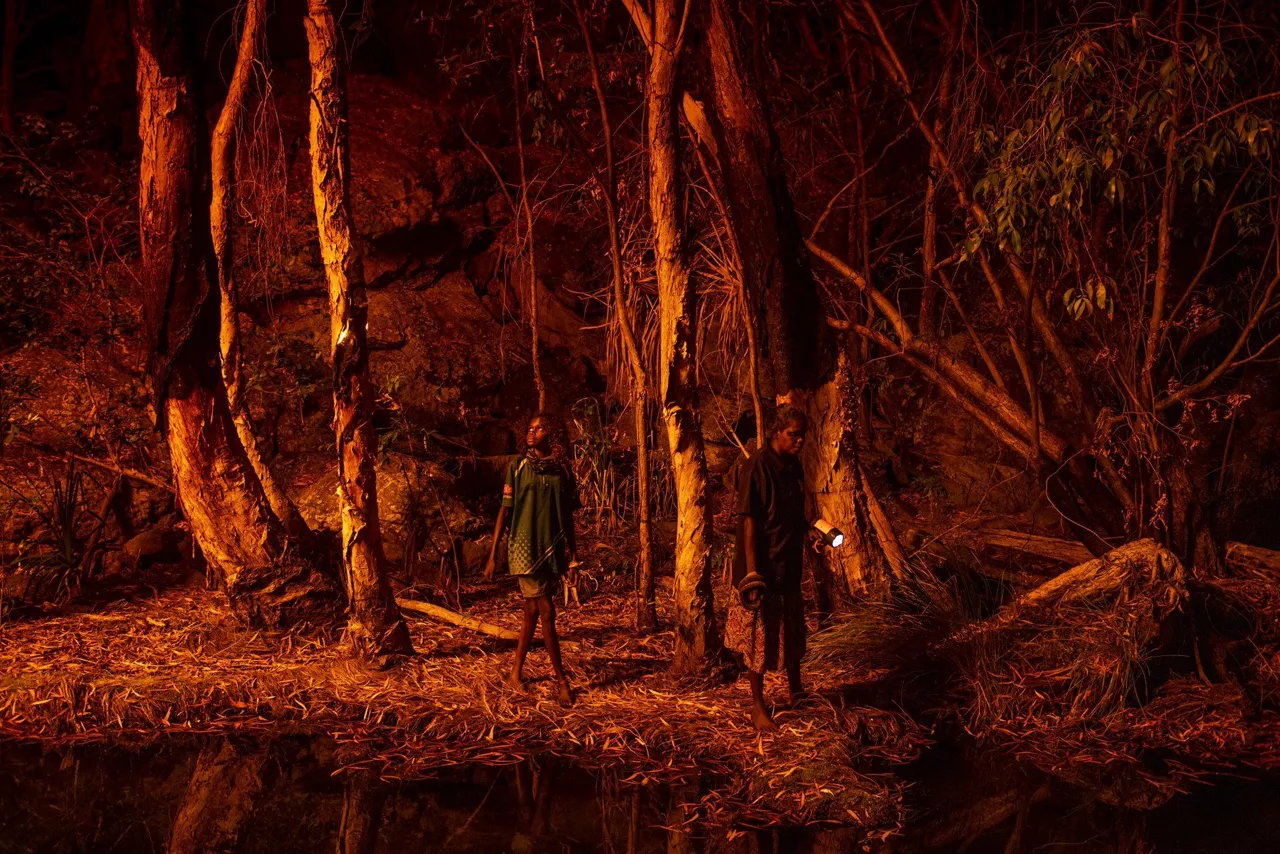 Matthew Abbotten "Saving Forests with Fire"