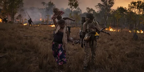  Matthew Abbotten "Saving Forests with Fire"