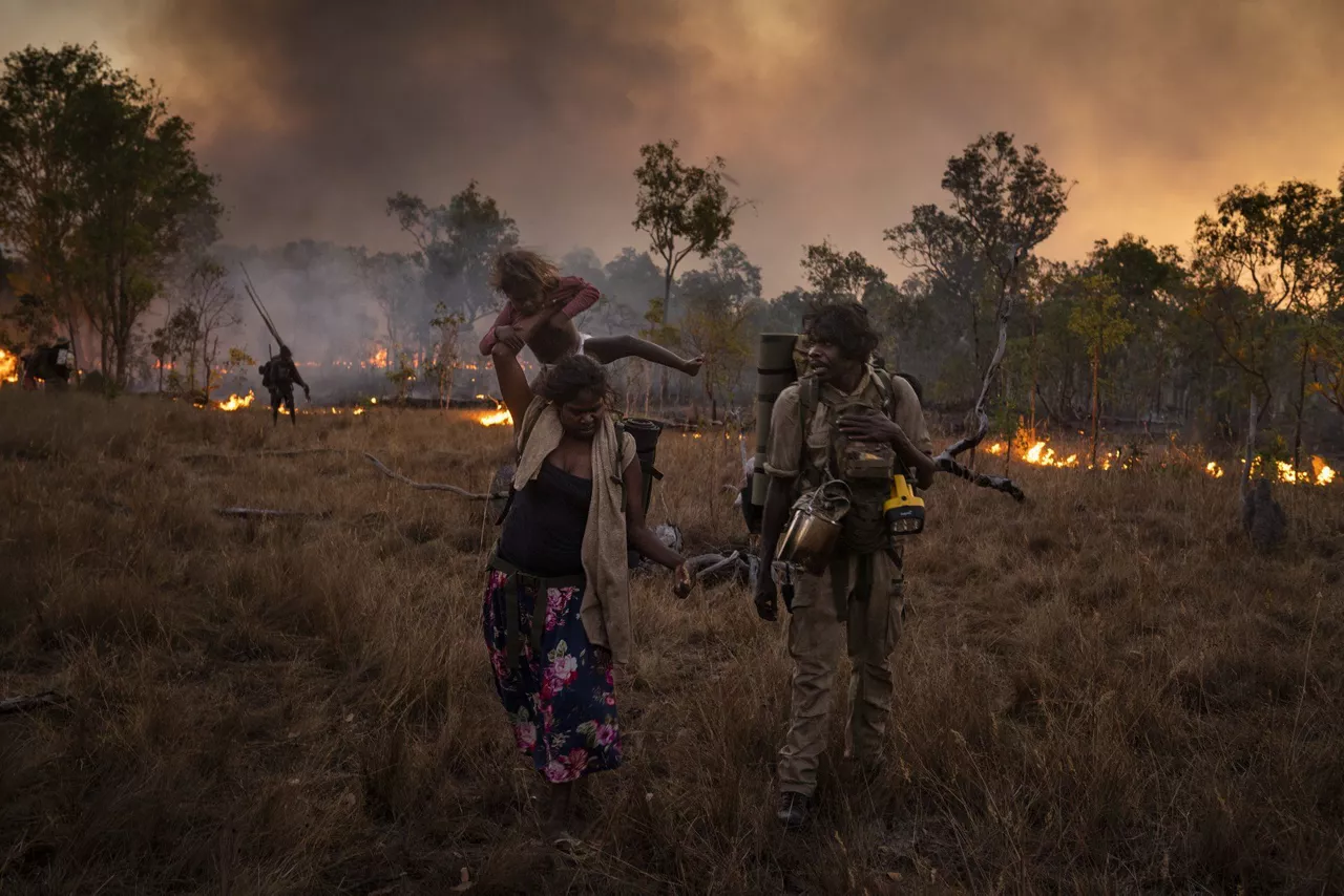 "Salvar los bosques con el fuego" de Matthew Abbott