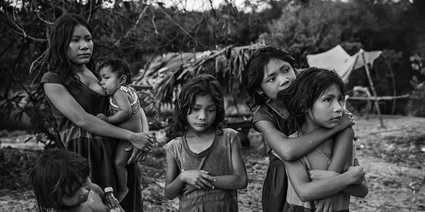 Lalo de Almeidaren "Amazonian Dystopia"