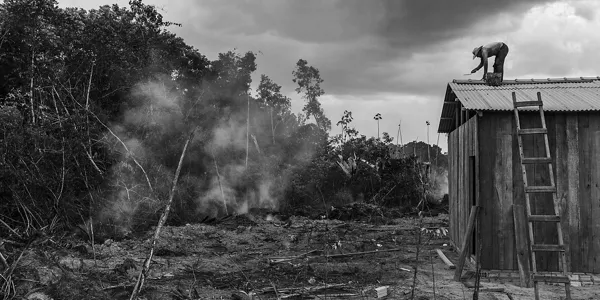  Matthew Abbotten "Saving Forests with Fire"