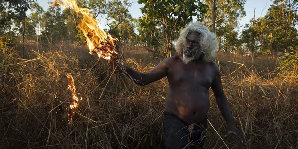  Matthew Abbotten "Saving Forests with Fire"