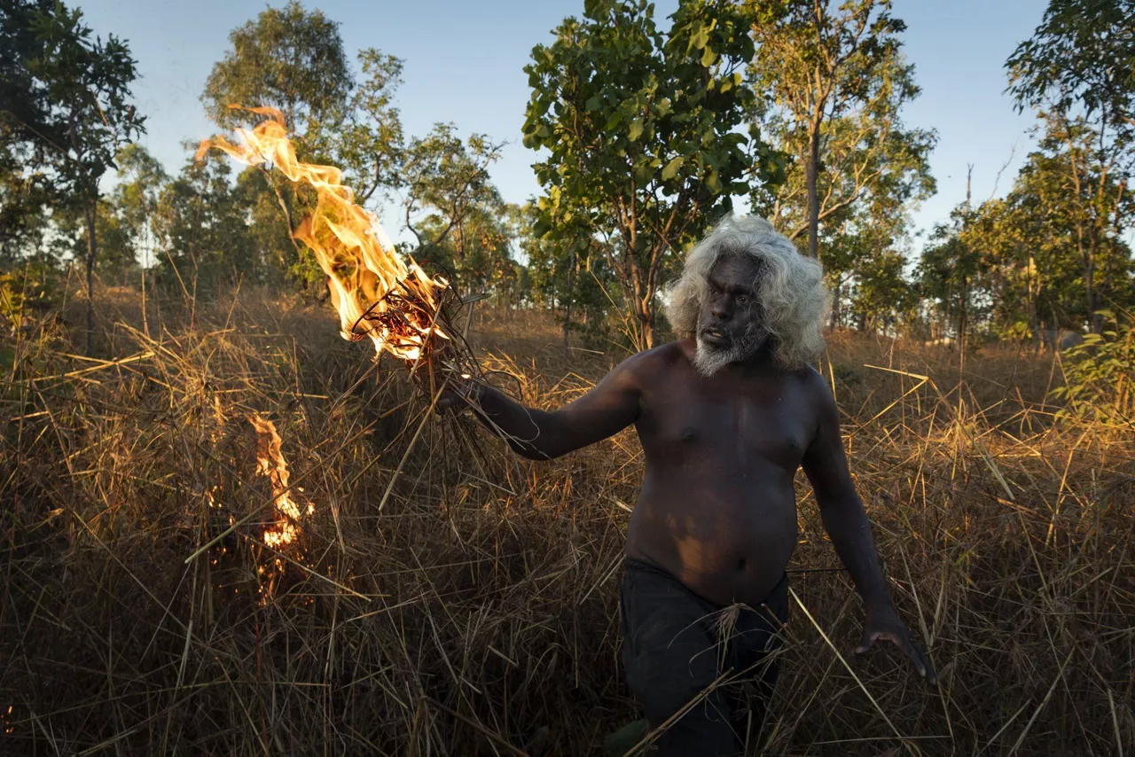 'Salvar los bosques con el fuego' de Matthew Abbott