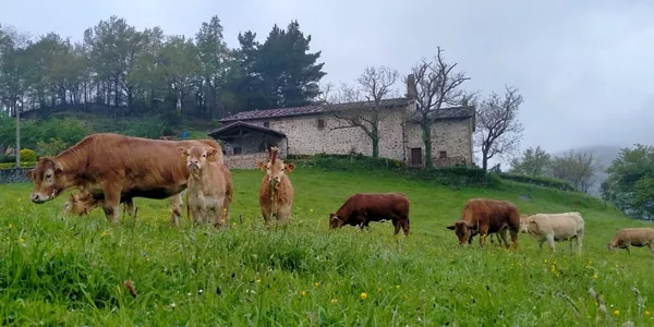 Oñati (Marilo Unzurrunzaga)