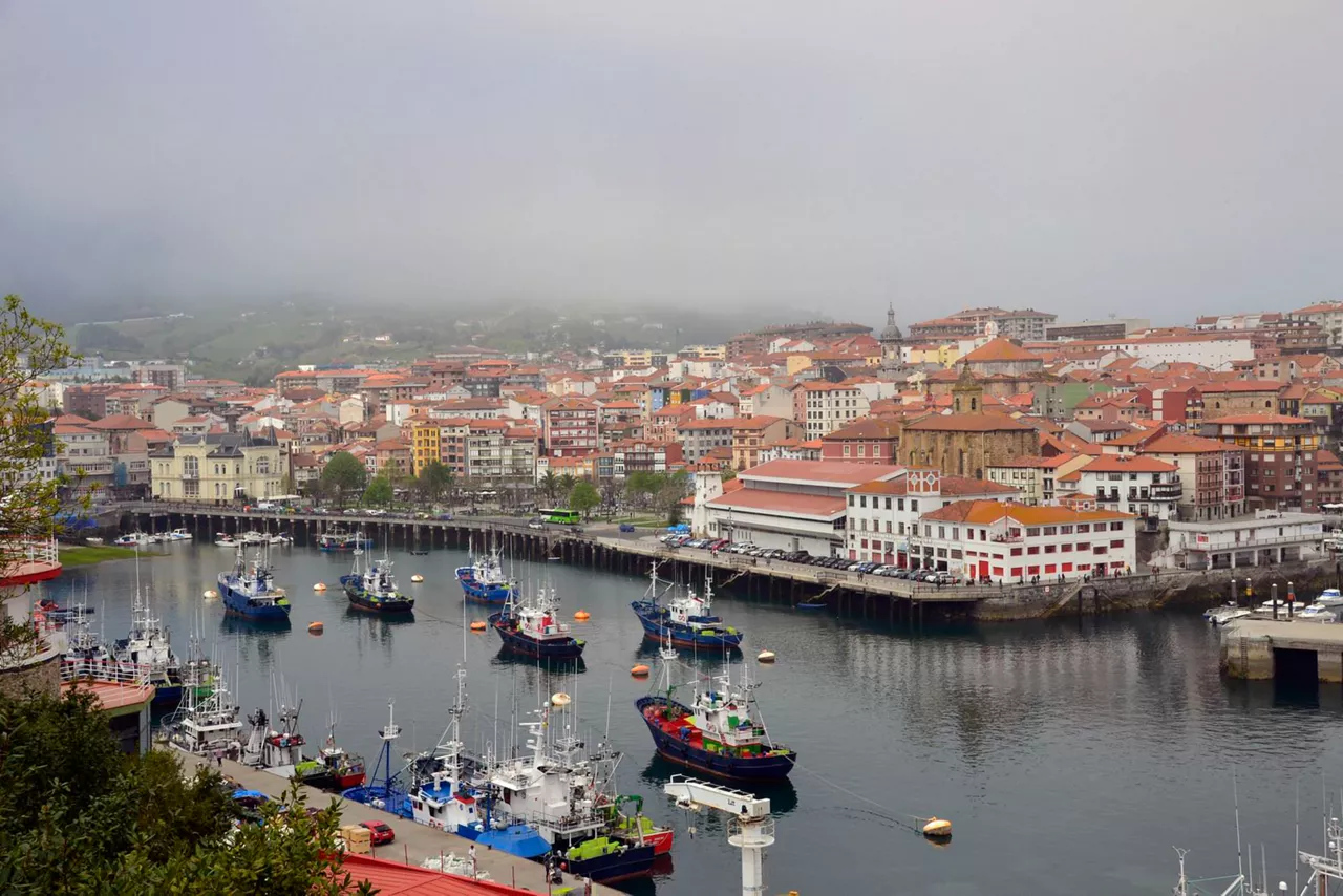 Bermeo eguraldia