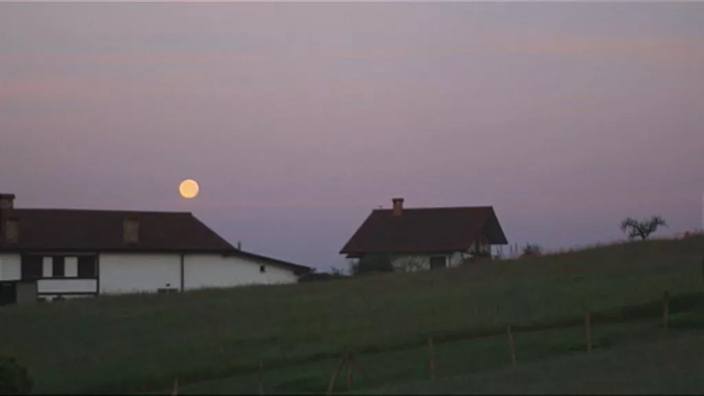 20220417092427_ilargi-arrosa_