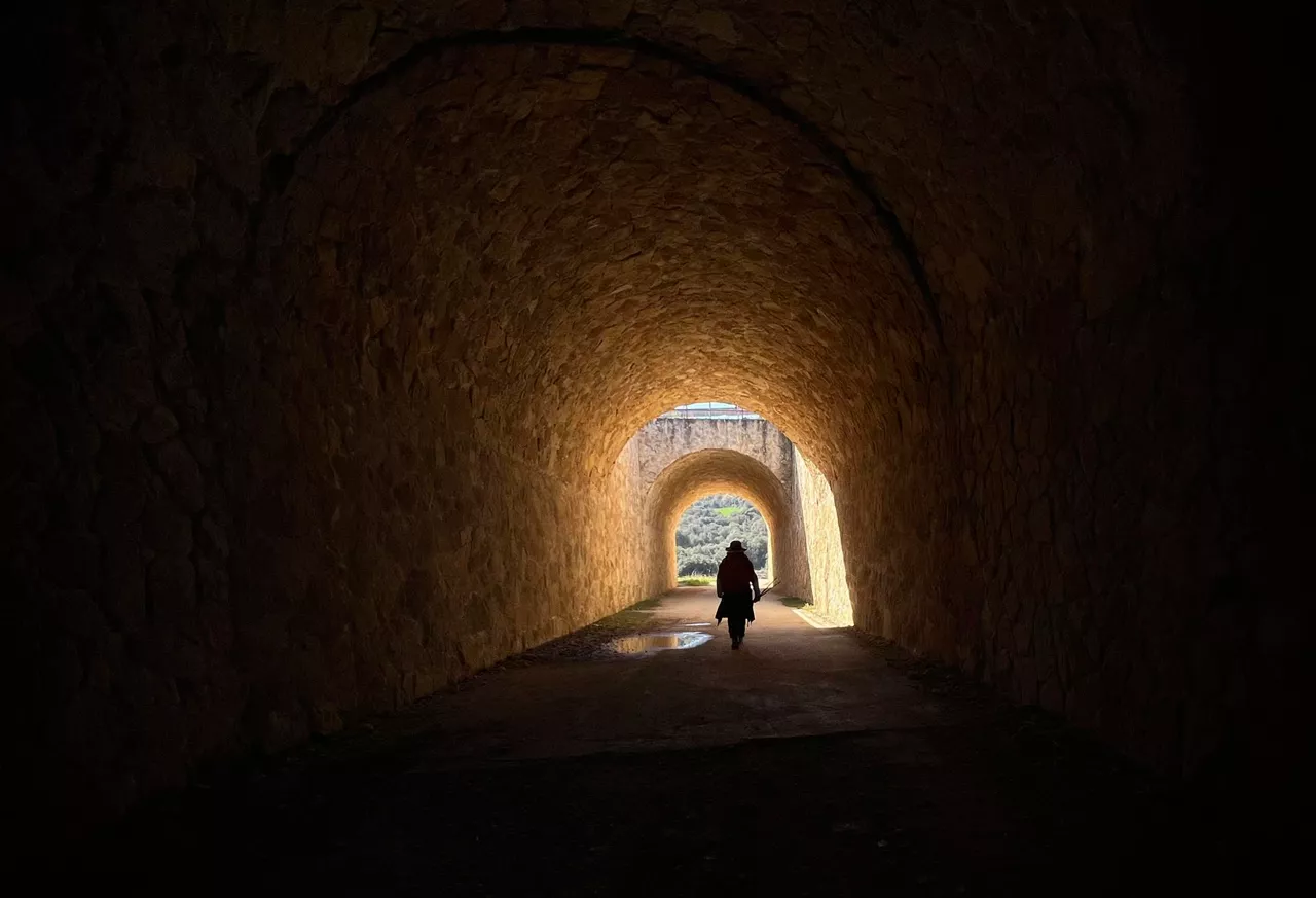 El Camino de Santiago, a su paso por Navarra. Foto: EFE