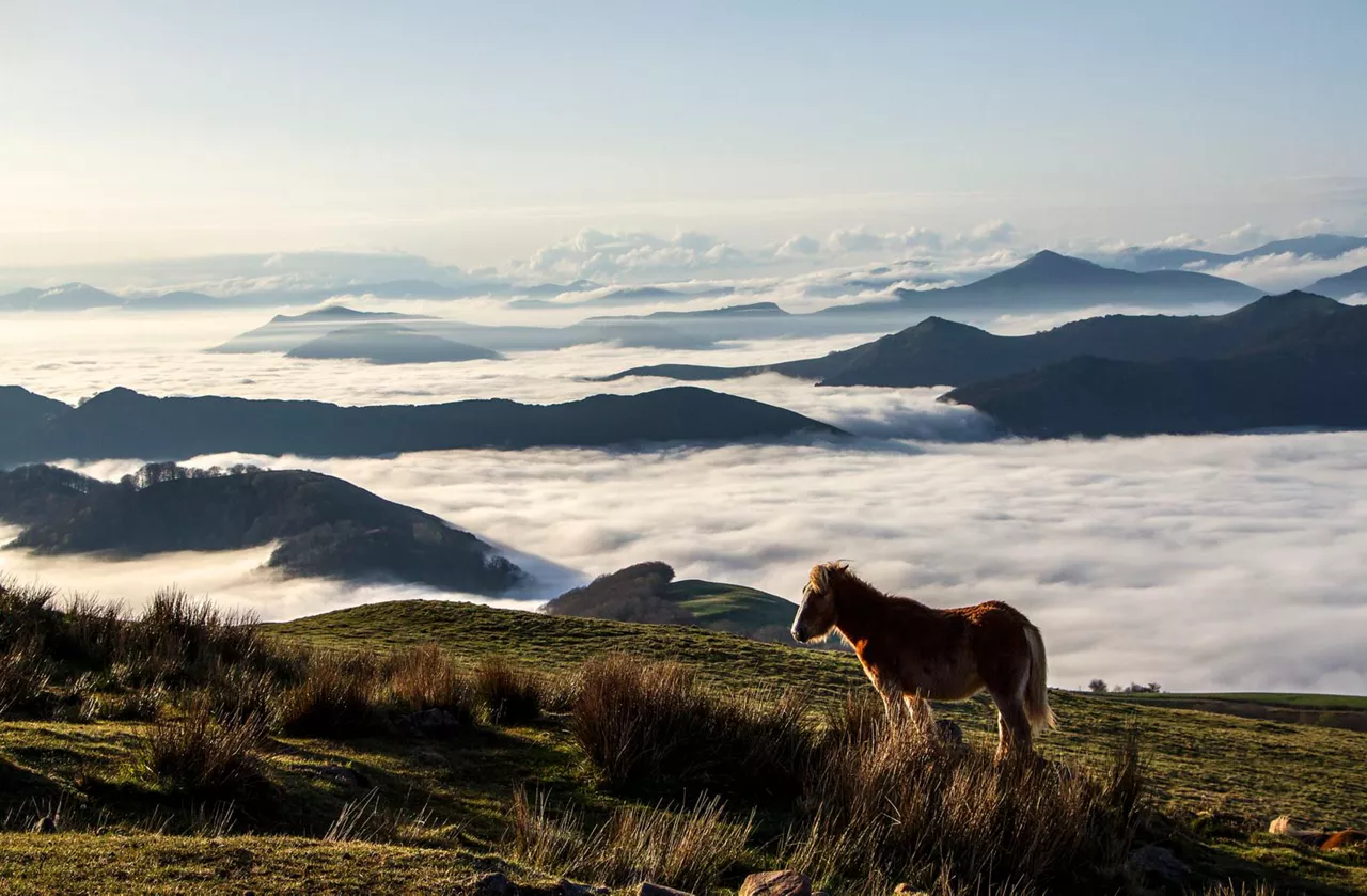 Vistas desde Gorramendi, en el Valle del Baztán. Foto: Juan Lameirinhas