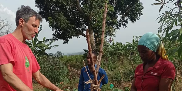 Huertas en Uganda
