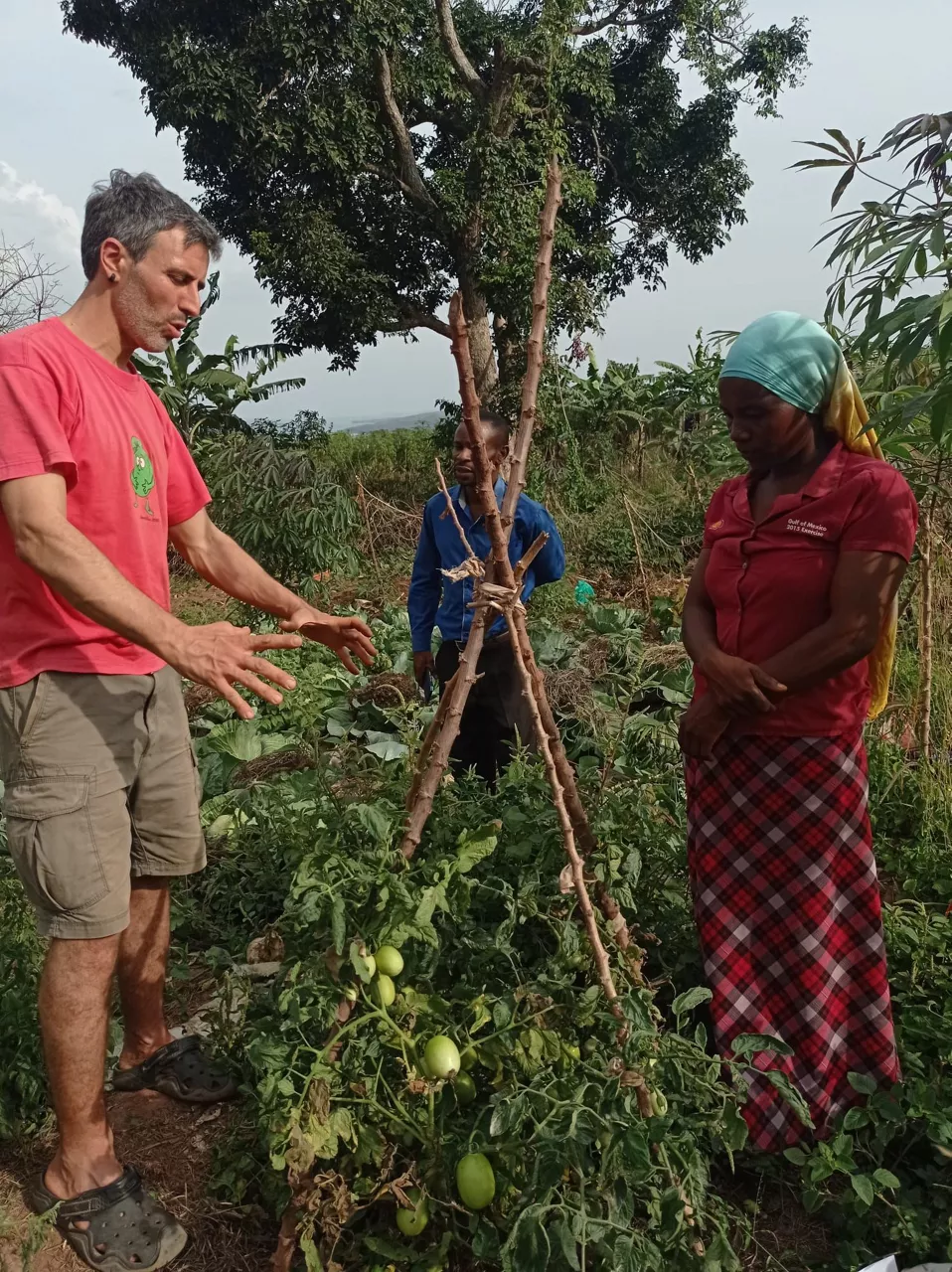Huertas en Uganda