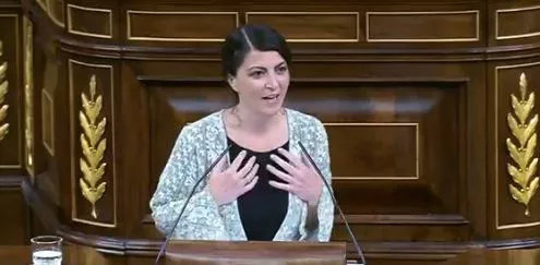 La diputada Macarena Olona, en sus declaraciones de esta semana en el Congreso. Foto: Twitter