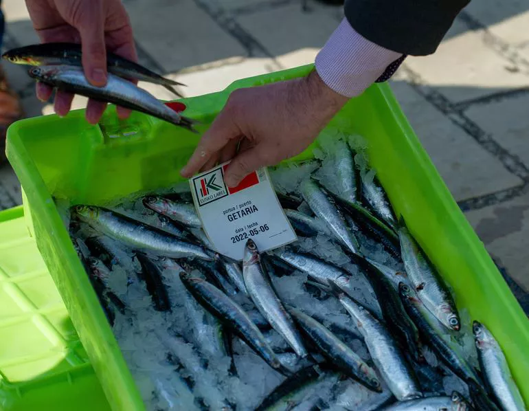 Con lo capturado hasta la fecha, desde el Gobierno Vasco se hace un balance satisfactorio