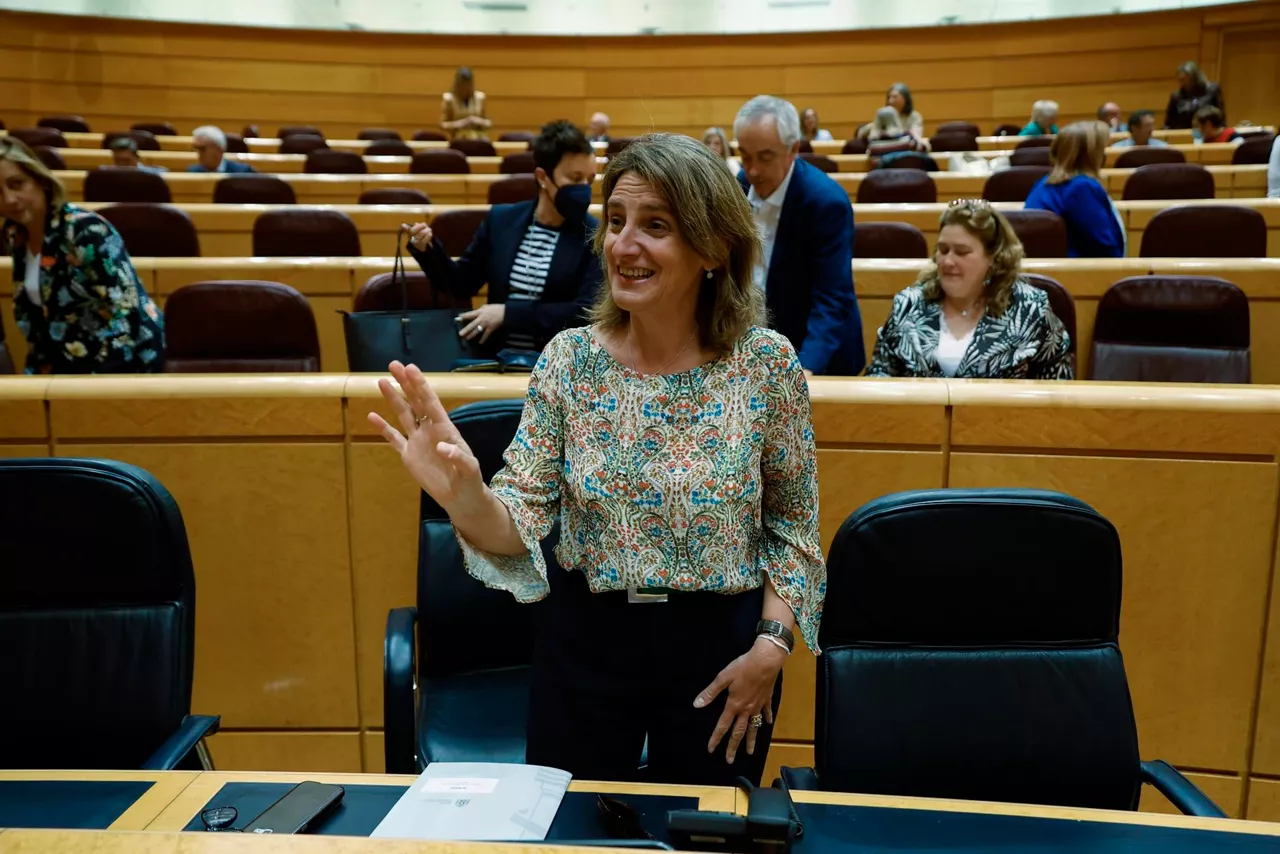 La ministra para la Transición Ecológica, Teresa Ribera, en el Senado. Foto: EFE
