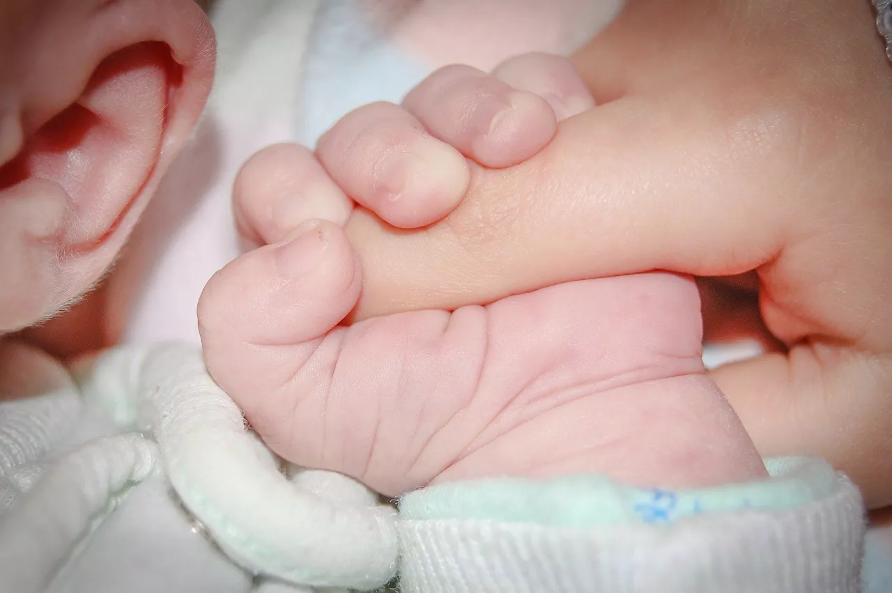 umea bebe jaioberria recien nacido demografia jaiotza