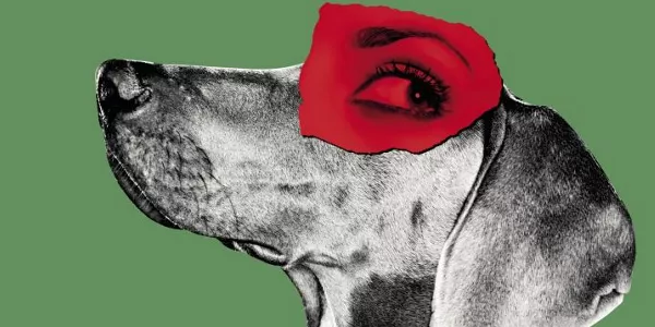 Zinemirako kartela. Argazkia: Donostiako Zinemaldia