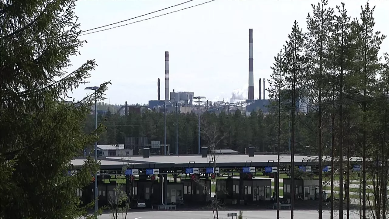 Finlandia eta Errusia arteko muga. EITB Mediaren bideo batetik ateratako irudia.