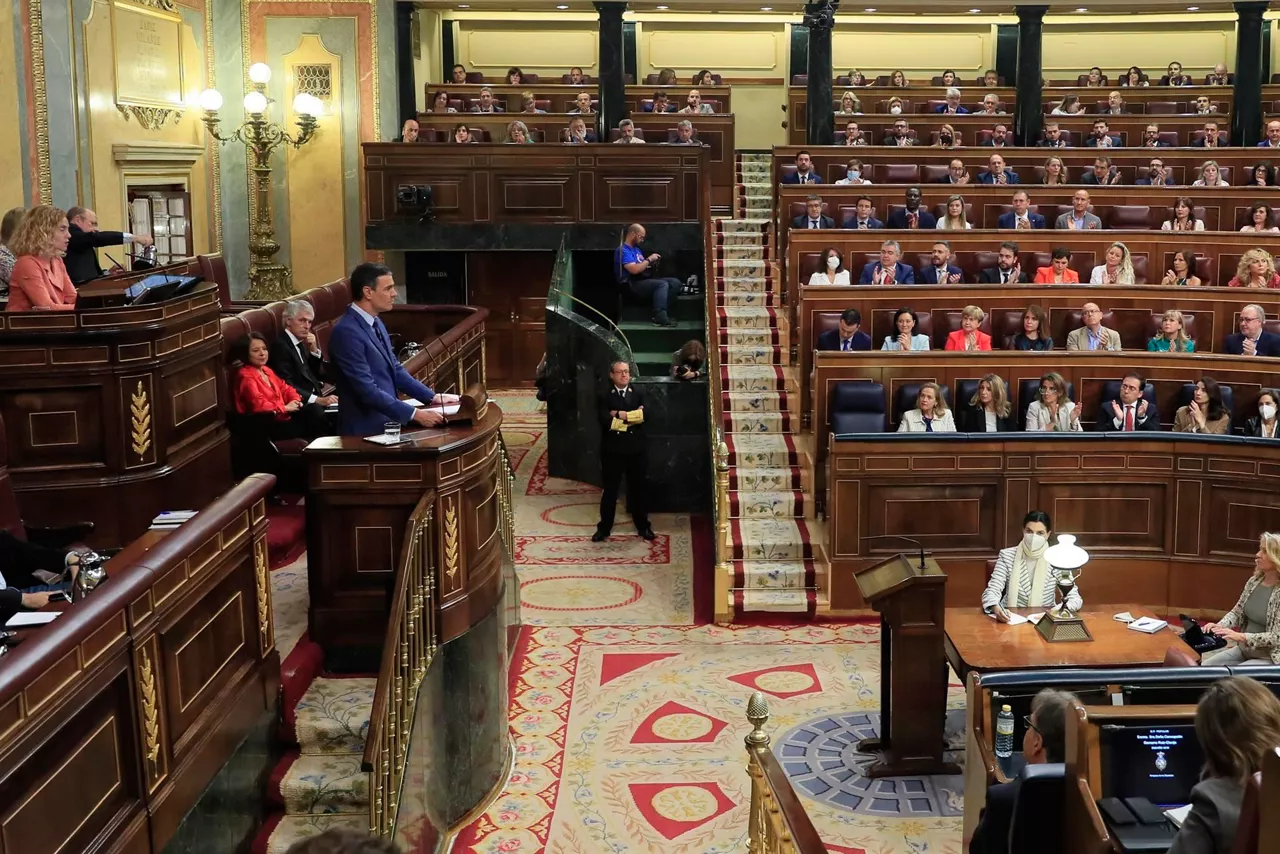 Sánchez, durante su intervención ante la Cámara. Foto: EFE