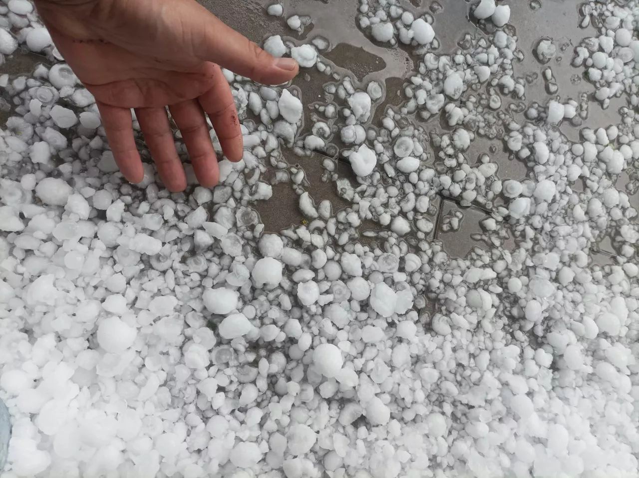 Txingorra Gabirian (Gipuzkoa). Argazkia: EITB Media