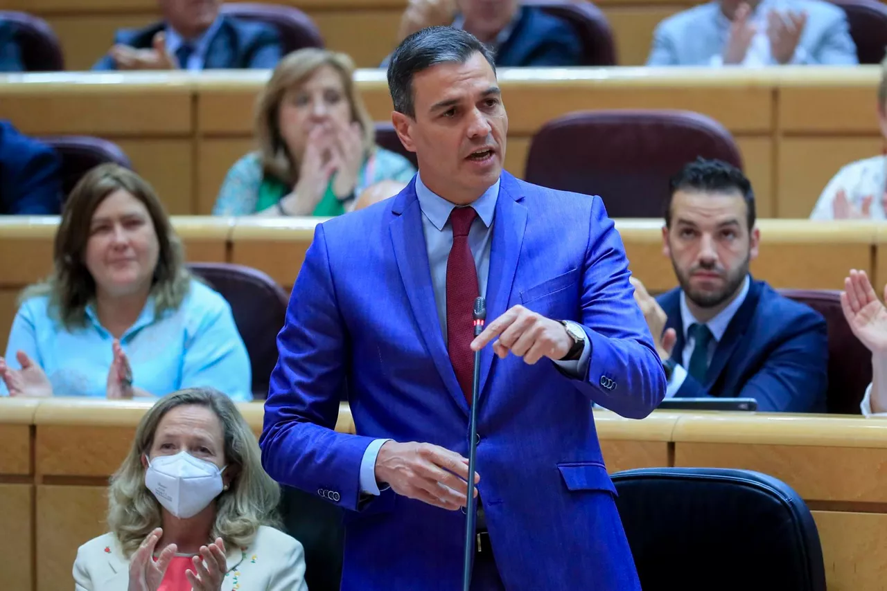 El presidente del Gobierno español, Pedro Sánchez, en el Senado. Foto: EFE