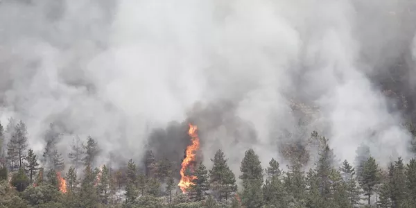 Incendio en la Sierra de Leire. Foto: EFE