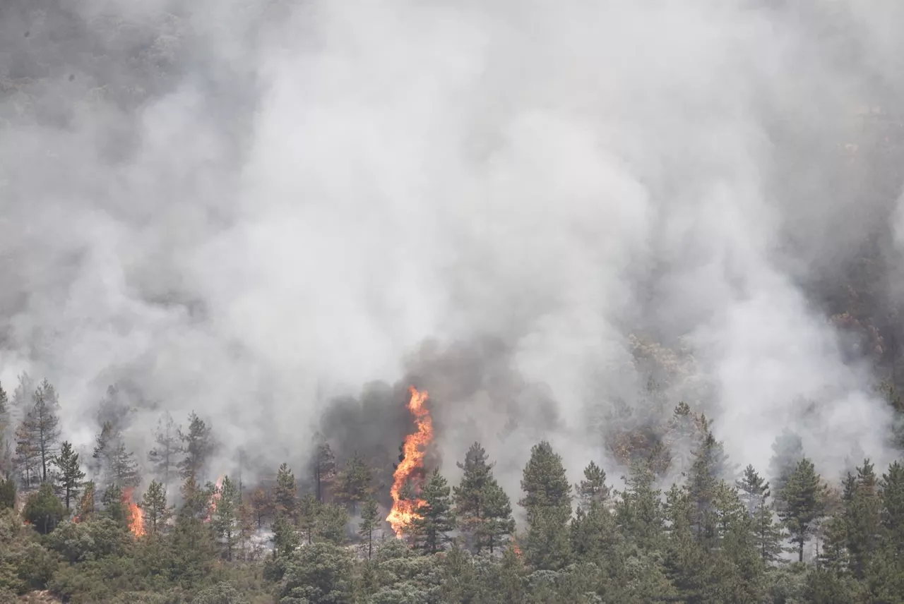 Incendio en la Sierra de Leire. Foto: EFE